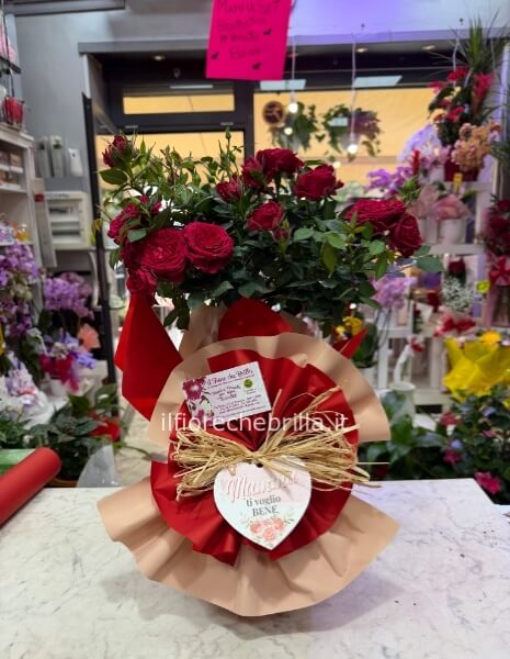 Pianta di rose con gadget