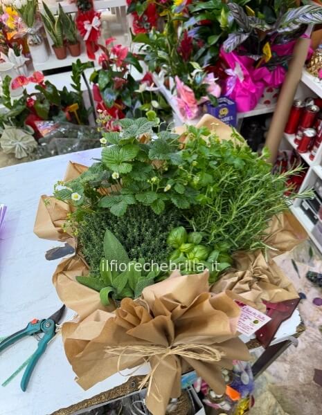 Erbe aromatiche miste confezionate insieme