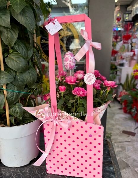 Bustina con pianta di rose