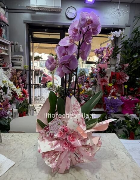 Orchidea con decorazioni pasquali